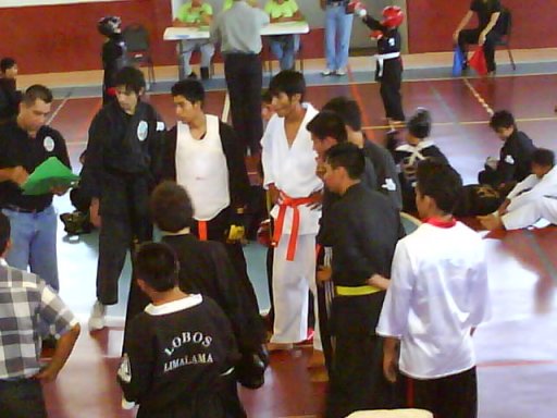 Foto