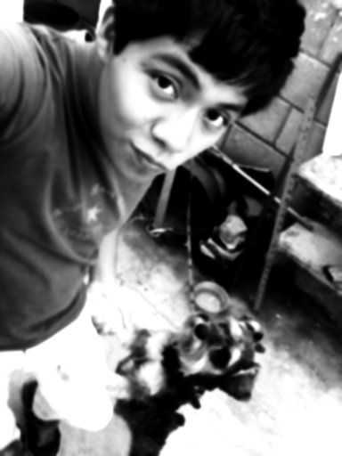 Foto