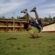 Bboy Ejota