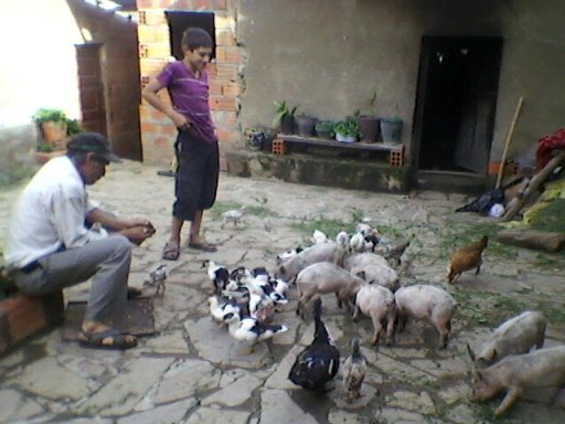 Foto