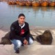 Mar del plata