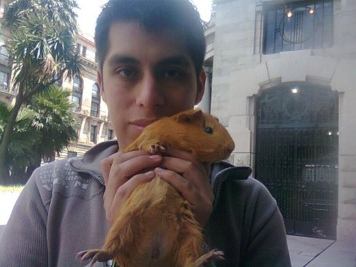 Foto