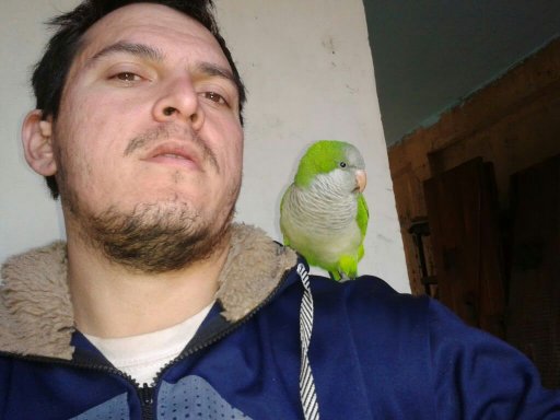 Foto