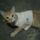 Leon