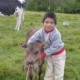 Hermaniti yordy