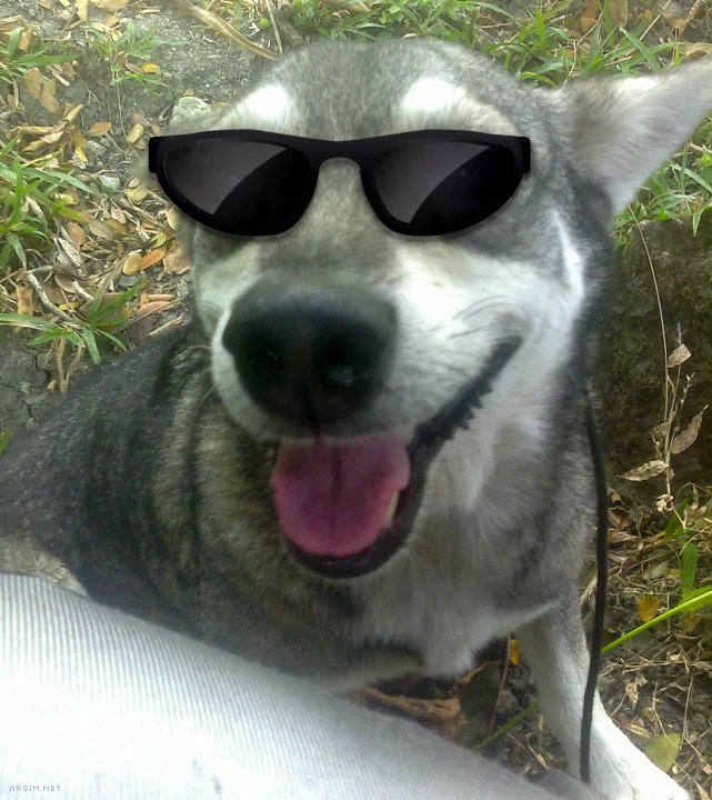 Foto