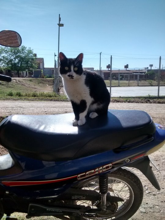 Foto