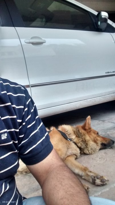 Foto