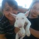 Mi dog