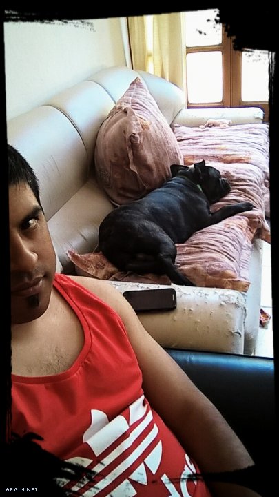 Foto