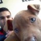 Pitbull love