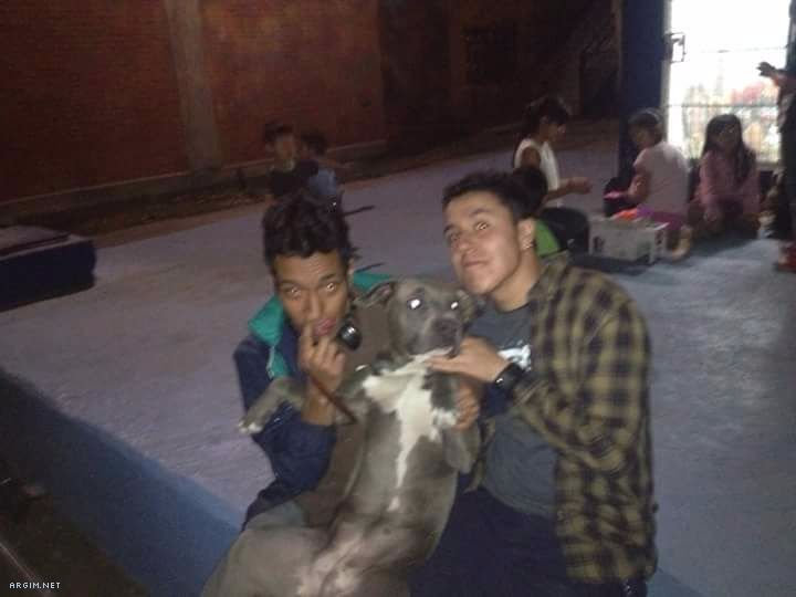 Foto