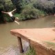 Foto 47