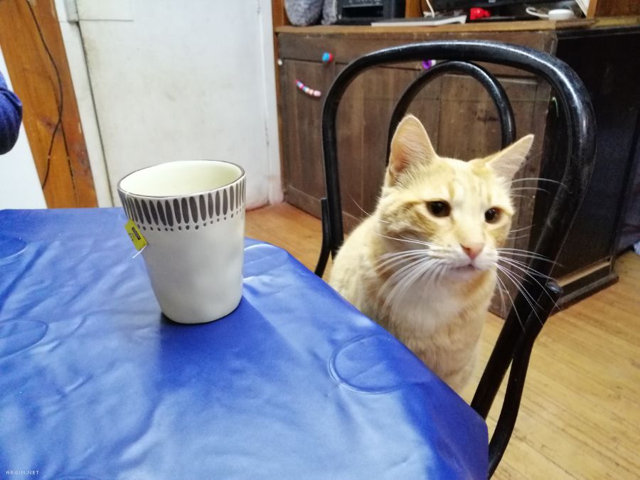 Foto